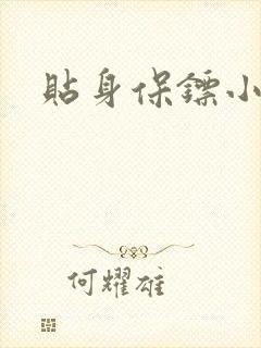 贴身保镖小说