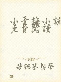 小青梅小说全文免费阅读