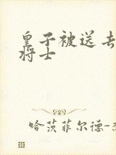 皇子被送去犒劳将士封面