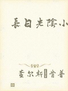 长日光阴小说