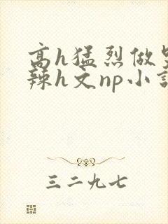 高h猛烈做哭高辣h文np小说