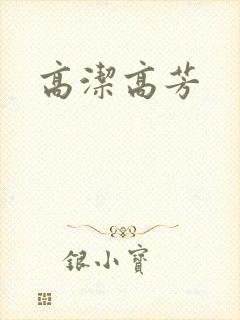 高洁高芳封面