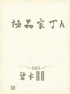 极品家丁h封面