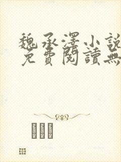 魏承泽小说全文免费阅读无弹窗笔趣封面