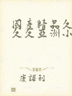 国产精品久久久久久亚洲小说