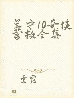 羊守10奇侠大营救全集封面