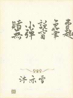 赌小说免费阅读无弹窗笔趣阁
