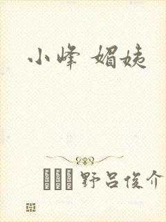 小峰 媚姨封面