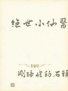 绝世小仙医小说封面