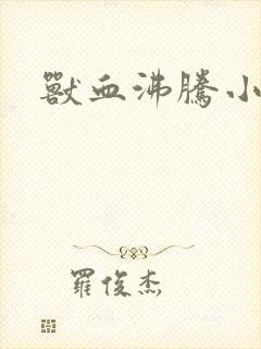 书籍封面