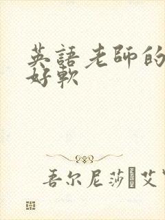 英语老师的兔子好软