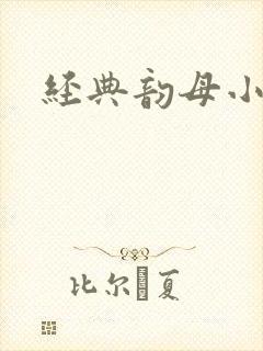 经典韵母小说封面