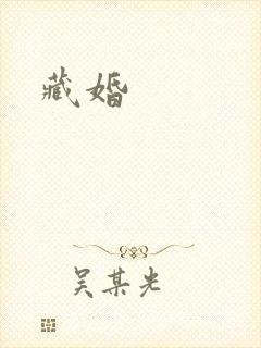 藏婚封面