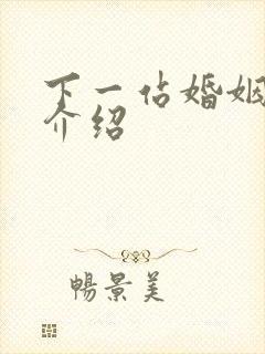 下一站婚姻剧情介绍封面
