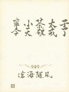 宁小茶太子殿下今天破戒了吗免费阅读封面