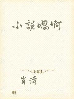 小说嗯啊封面