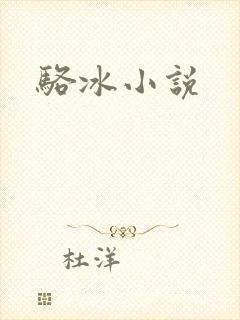 骆冰小说封面