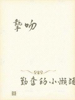 挚吻