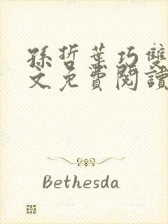 孙哲叶巧双修全文免费阅读笔趣阁封面