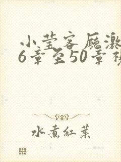 小莹客厅激情46章至50章视