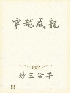 穿越成龙