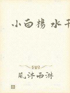 小白杨 水千丞