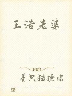 王浩老婆封面