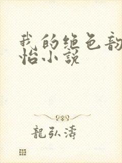 我的绝色韵母郑怡小说