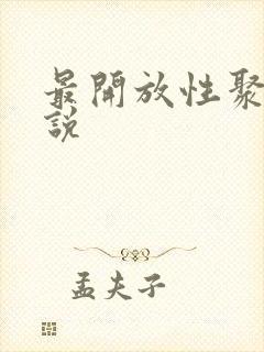 最开放性聚会小说