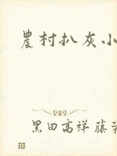 农村扒灰小说封面