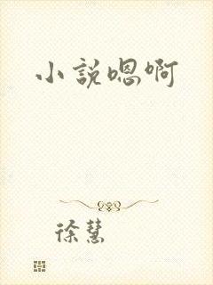小说嗯啊