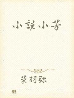 小说小芳