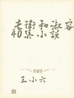 老卫和淑容1-40集小说