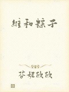 维和粽子