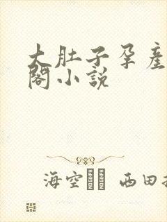大肚子孕产笔趣阁小说