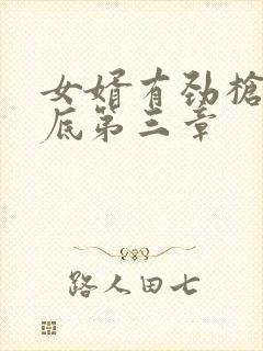 女婿有劲枪枪到底第三章