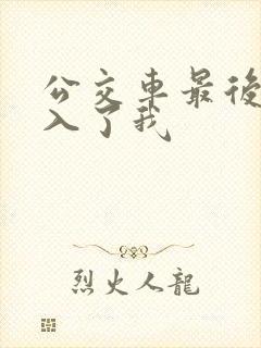 公交车最后一排入了我