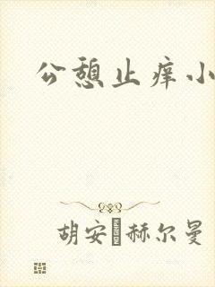 公憩止痒小说封面
