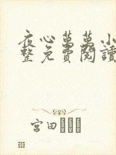 夜心万万小说完整免费阅读全文