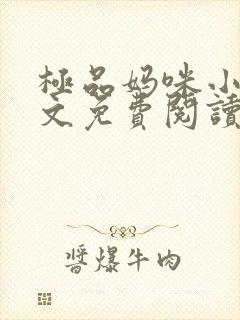 极品妈咪小说全文免费阅读