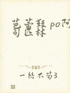 芭蕾鞋 po阿司匹林封面