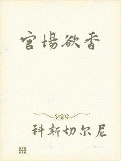 官场欲香封面
