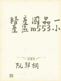 精产国品一二三产区m553小说封面