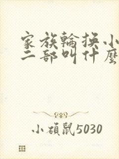 家族轮换小说第二部叫什么名字