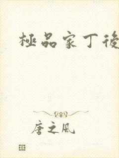 极品家丁后传
