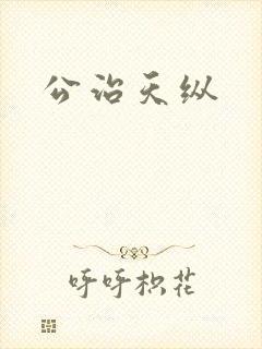 公治天纵封面