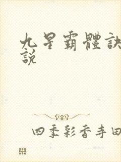 九星霸体诀 小说