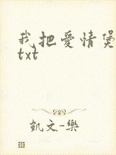 我把爱情煲成汤txt
