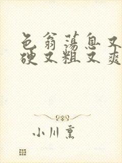 色翁荡息又大又硬又粗又爽
