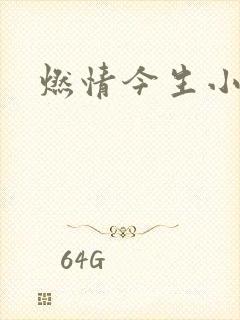 燃情今生小说